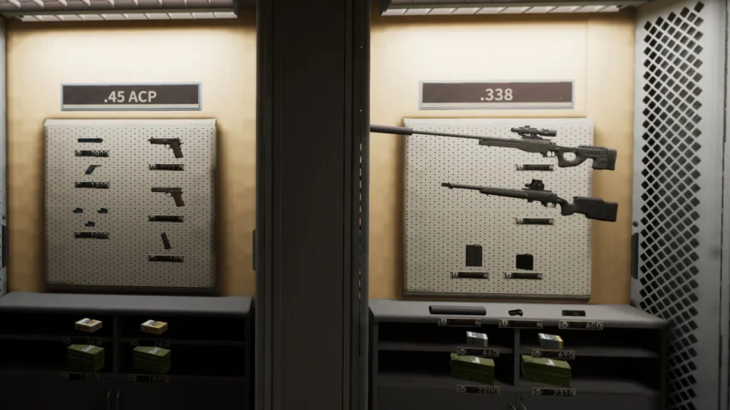 The new .45 ACP and .338 weapons in the Into the Radius 2 1.0 release